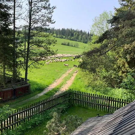Sowie Domki - Domek Nad Potokiem Kacwin Exterior photo