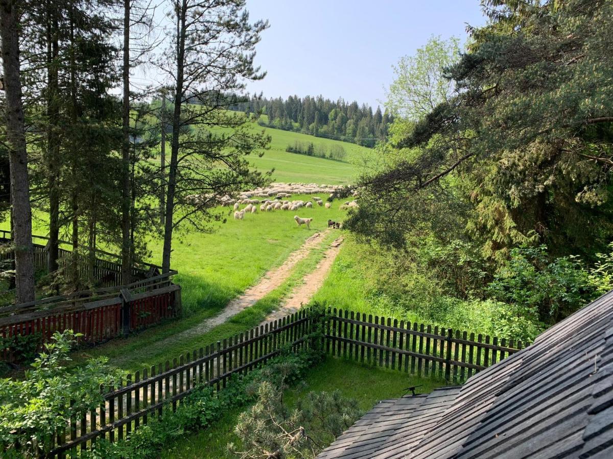 Holiday home Sowie - Nad Potokiem